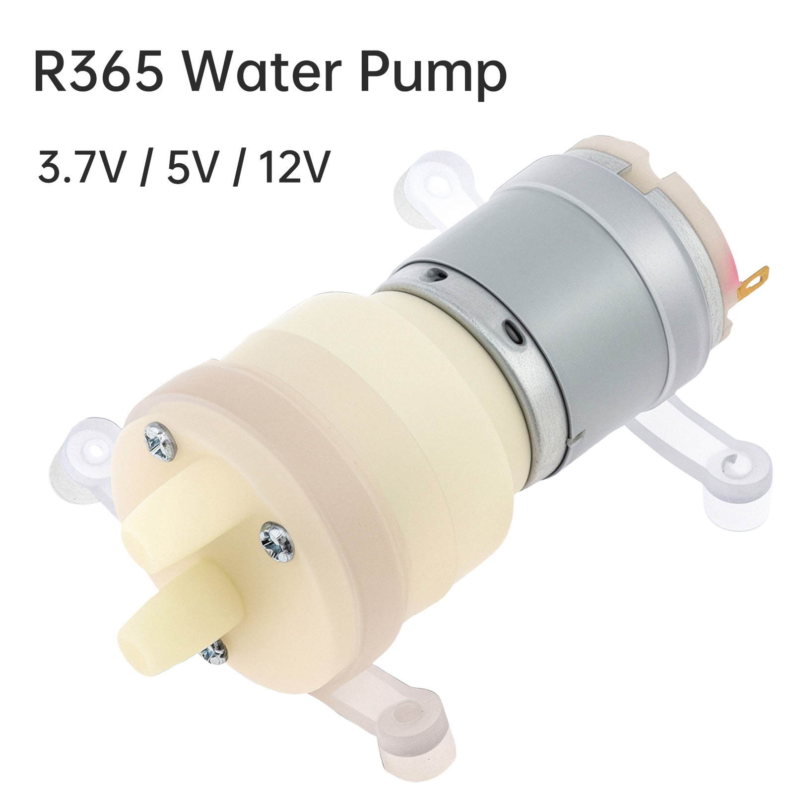 R365 mikro silnik pompy wodnej – Mini Peristaltic Pump 12V recenzja i cena